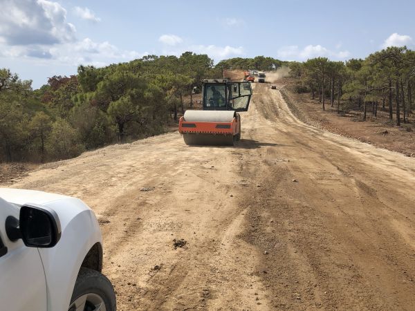 Cost of Driveway Grading in Michigan City