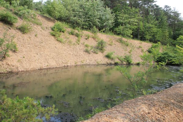 Pond Erosion Repair in Michigan City