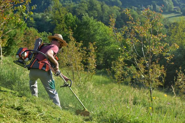 Cost of Slope Trimming in Michigan City